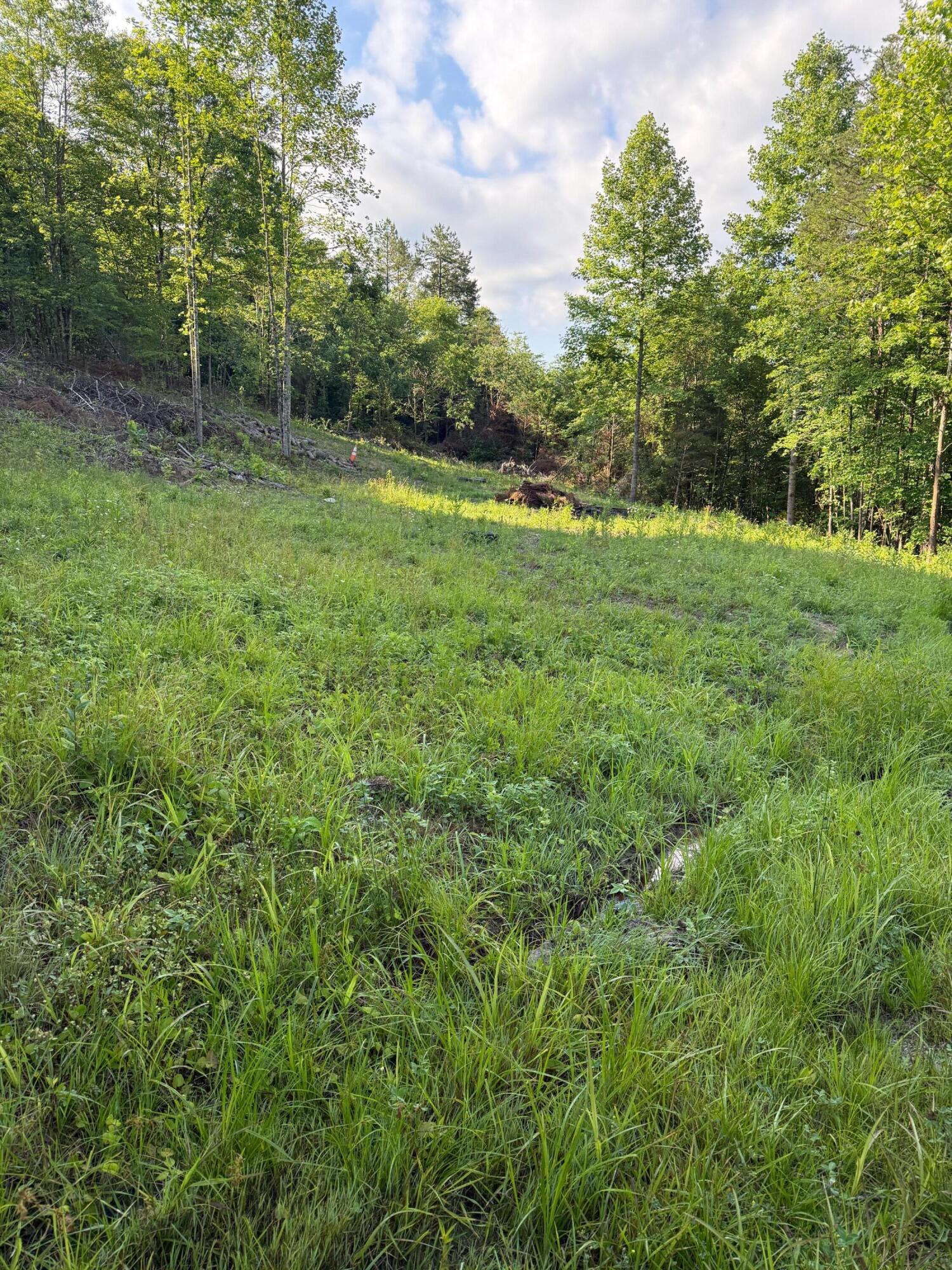 110 Dean Road, Unit TRACT 1 McKee, KY 40447 - Photo 1 of 2 IMG_3430