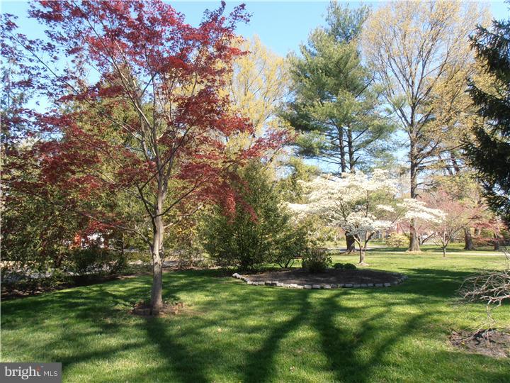 410 Moreland Road Wallingford, PA 19086 - Photo 18 of 25