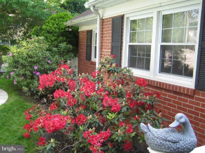 410 Moreland Road Wallingford, PA 19086 - Photo 25 of 25