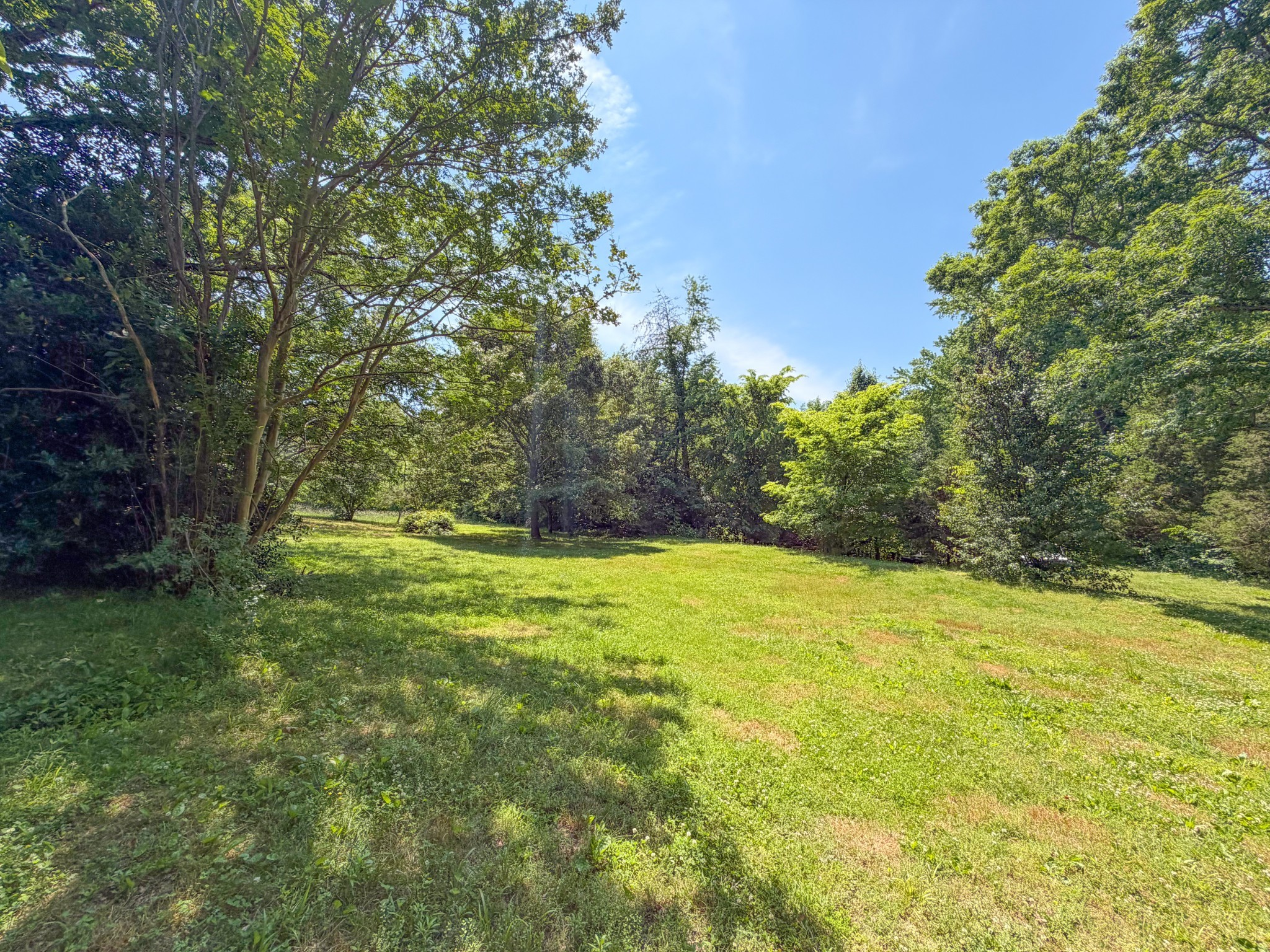 3800 Salem Road Minor Hill, TN 38473 - Photo 53 of 53