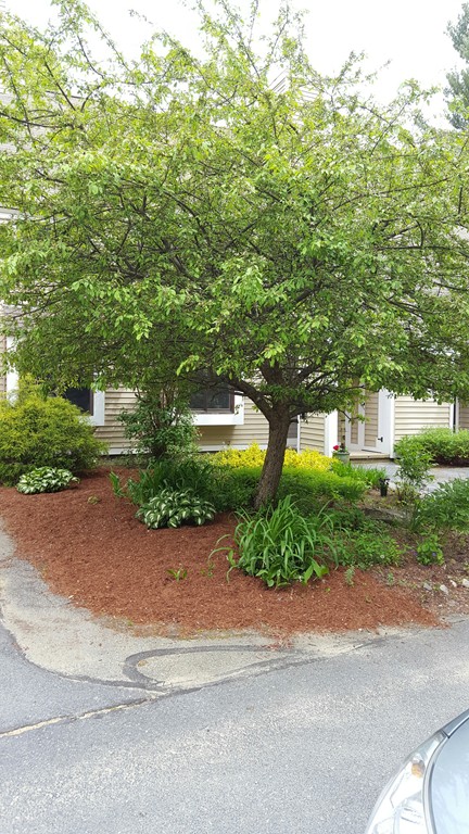 35 Hazen Road, Unit G4 Shirley, MA 01464 - Photo 5 of 15 a view of a garden with a pathway