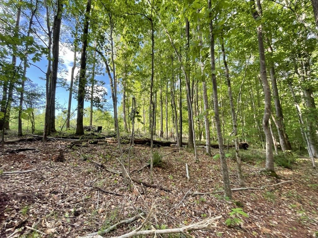 Lot 4 Our Road Oxford, NC 27565 - Photo 1 of 32 Photo 1
