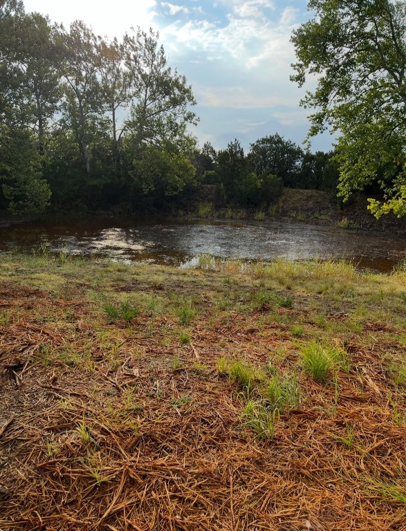 17787 Fm 963 Bertram, TX 78605 - Photo 39 of 40 a view of a lake view