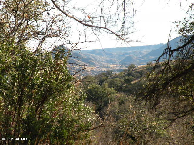 175 Wood Canyon Road Patagonia, AZ 85624 - Photo 40 of 47