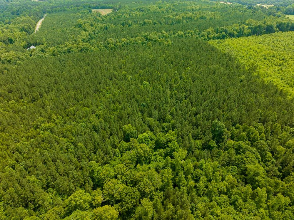 0 Mill Creek Road Roxboro, NC 27574 - Photo 35 of 54 Photo 35