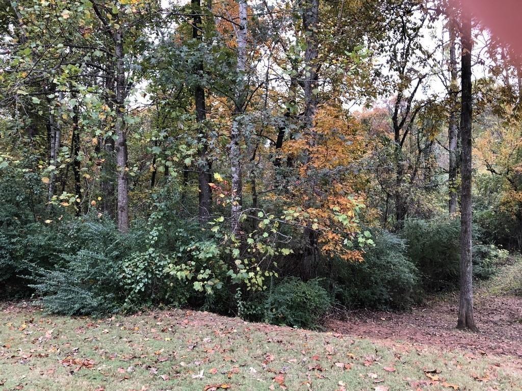 5972 Giles Road Lithonia, GA 30058 - Photo 2 of 2 a view of a forest