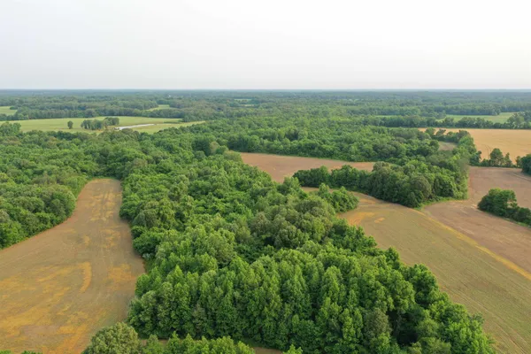 $225,000 | 1858 Denmark Jackson Road, Denmark, TN 38391