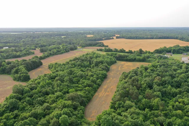 a view of a green field with lots of green space