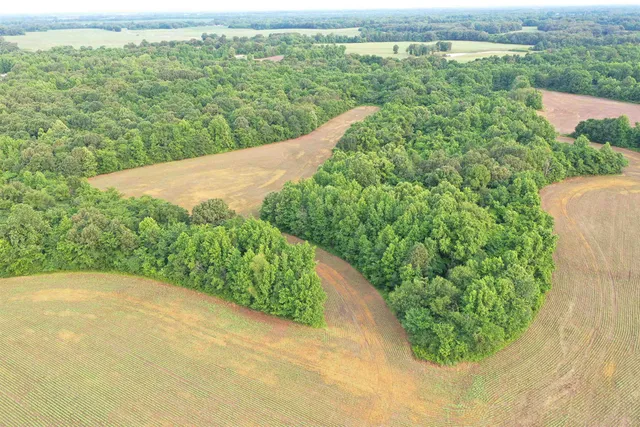 an aerial view of a house with a yard and lake view