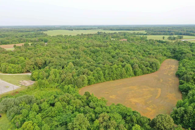 a view of a garden with a lake view
