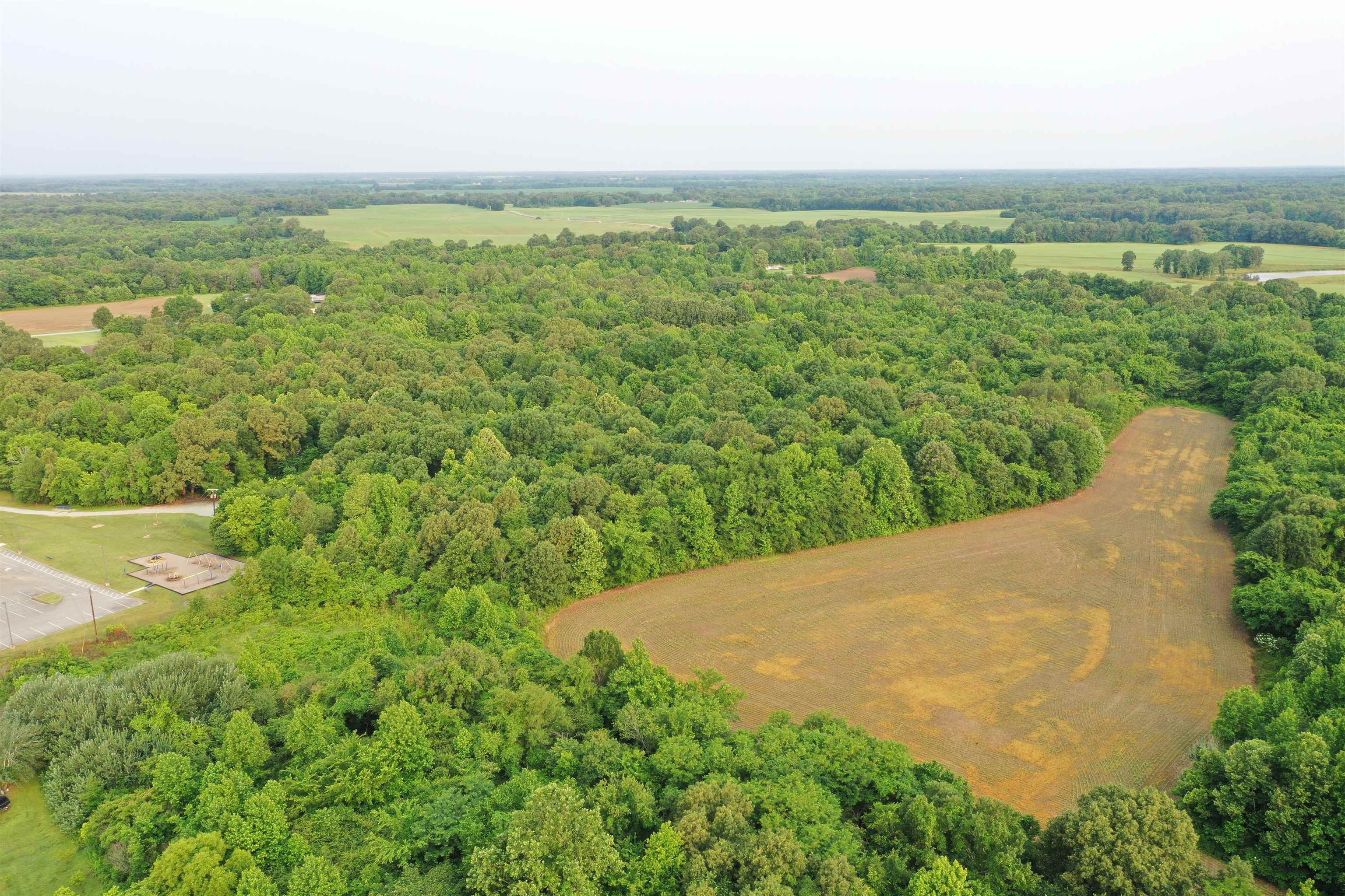 1858 Denmark Jackson Road Denmark, TN 38391 - Photo 13 of 35 a view of a green field with lots of green space
