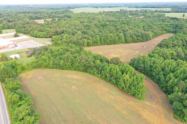 a view of a lush green forest with a lake
