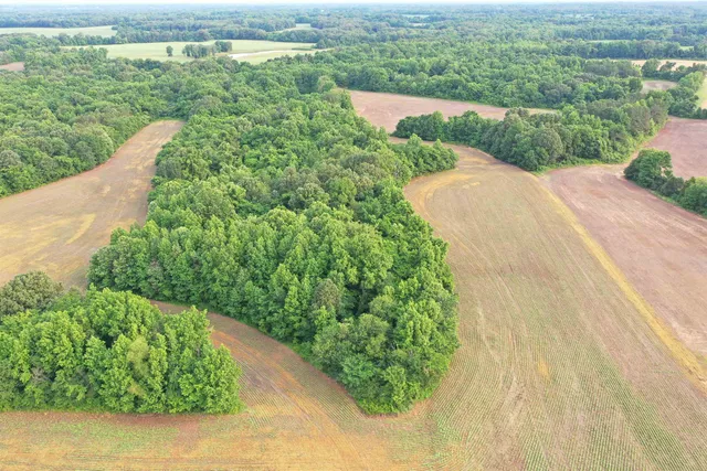 a view of a field with an ocean view