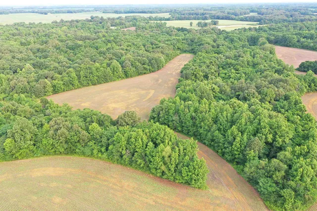a view of a field with an ocean