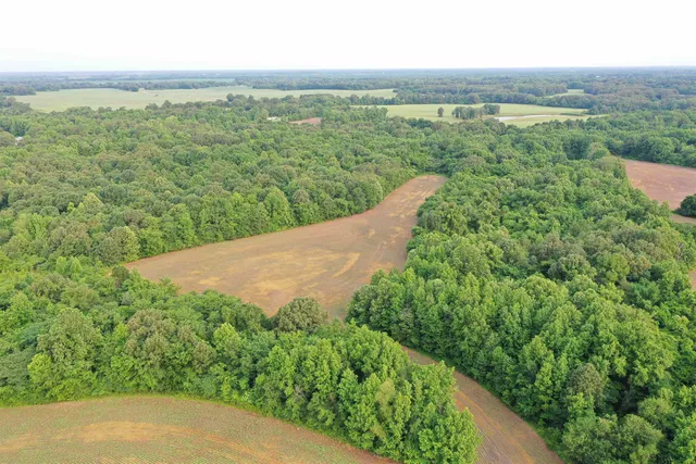 a view of a field with an ocean