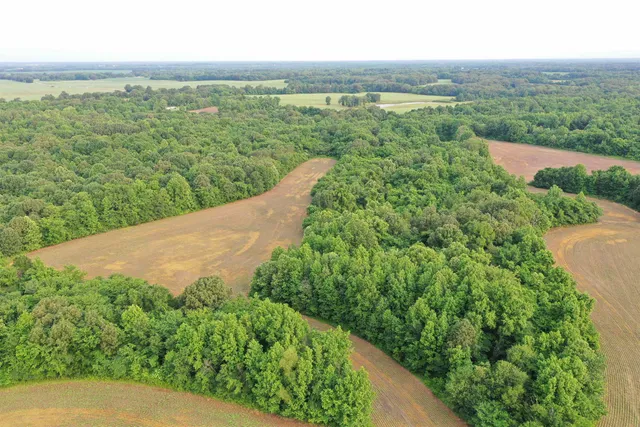 a view of a green field with an ocean view