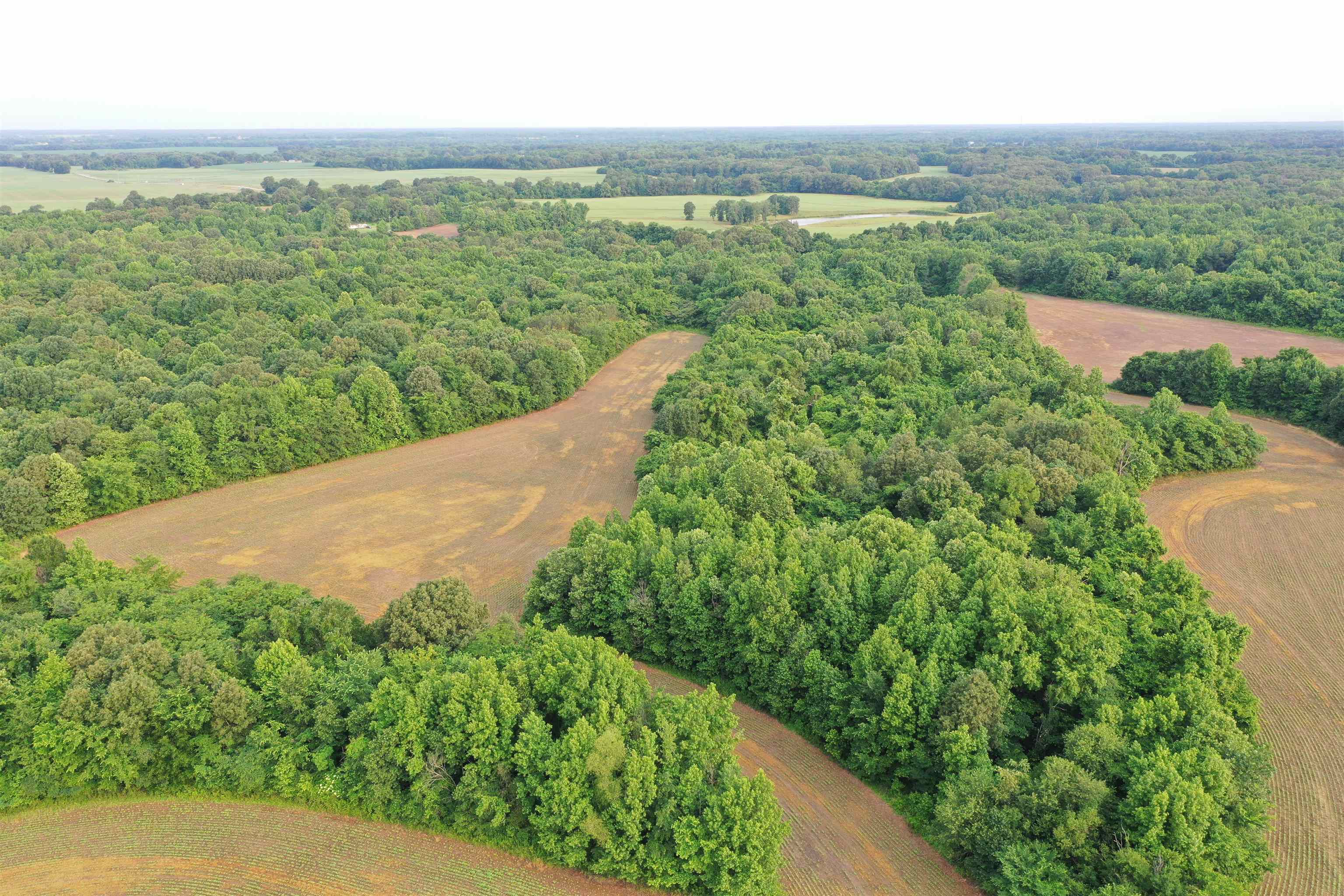 1858 Denmark Jackson Road Denmark, TN 38391 - Photo 20 of 35 a view of a lake with a yard