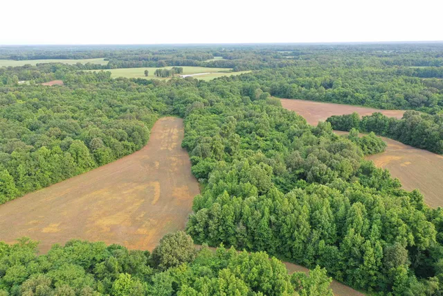 a view of a lake with a yard