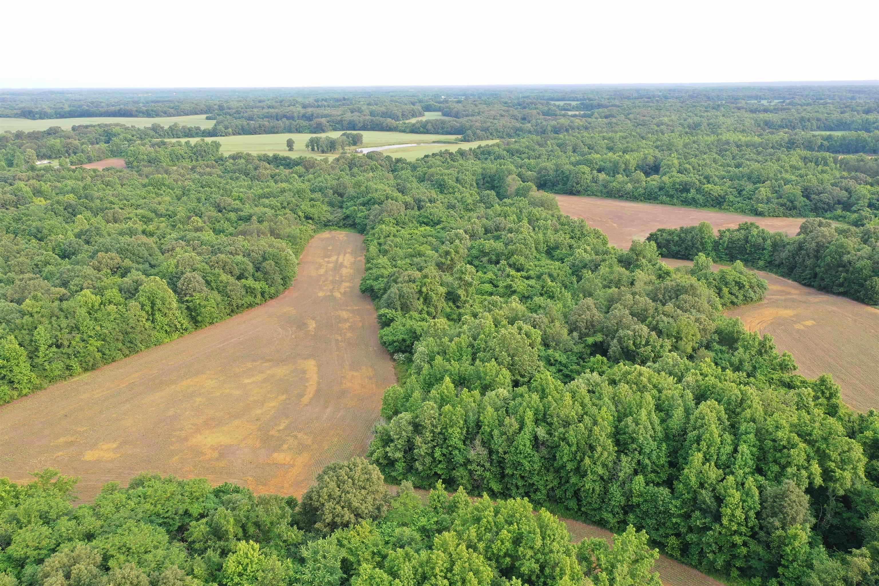 1858 Denmark Jackson Road Denmark, TN 38391 - Photo 2 of 35 a view of a lake with a yard
