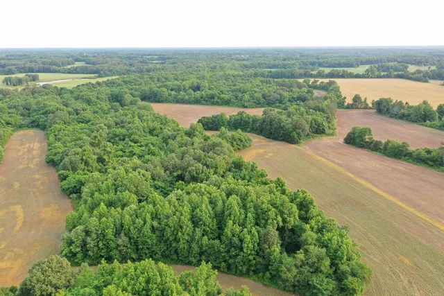 a view of a garden from a balcony