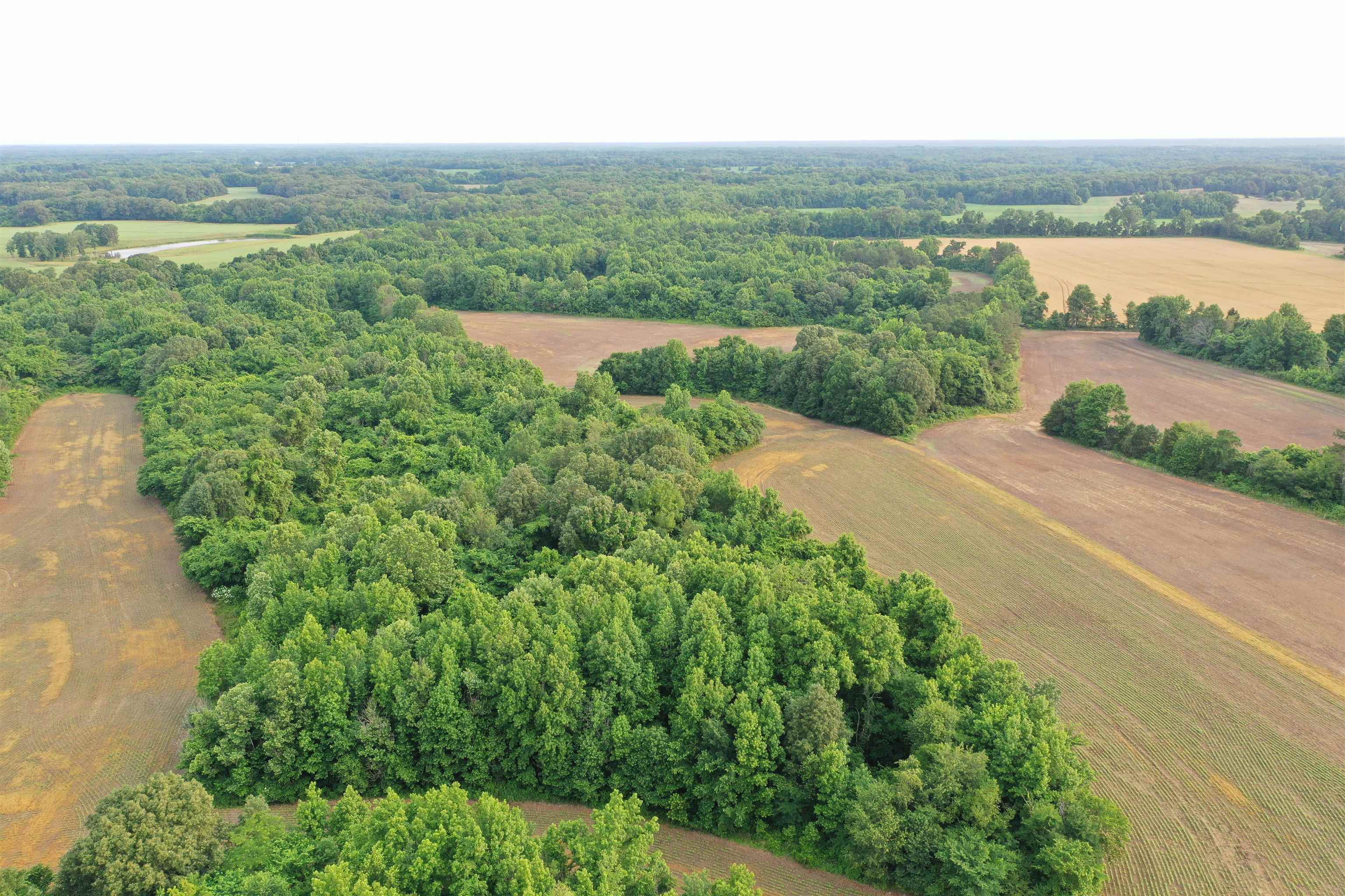 1858 Denmark Jackson Road Denmark, TN 38391 - Photo 21 of 35 an aerial view of mountain with outdoor space