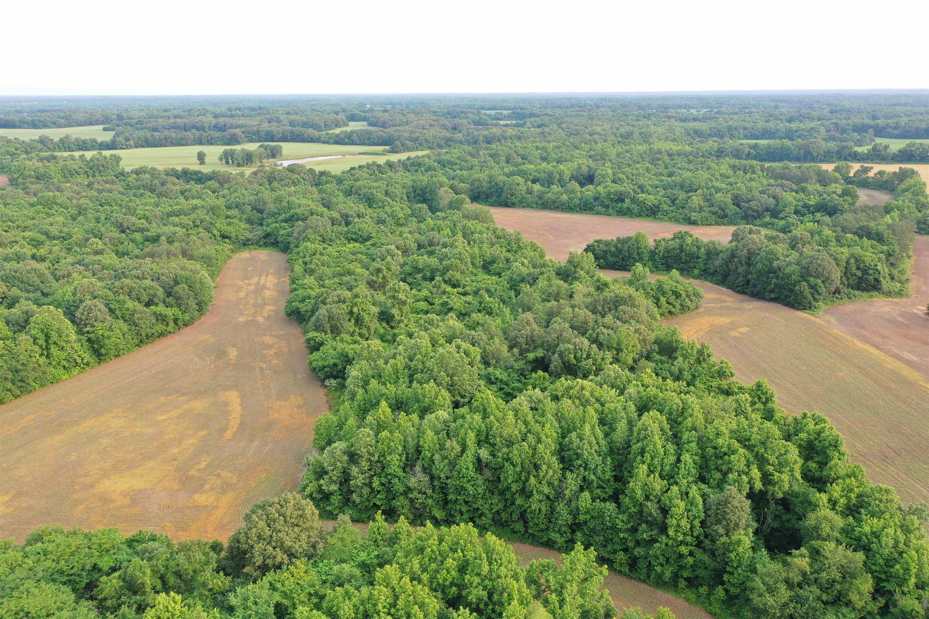 1858 Denmark Jackson Road Denmark, TN 38391 - Photo 22 of 35 a view of a green field with an ocean view