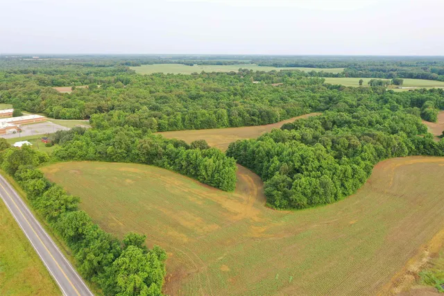 a view of a garden with an ocean