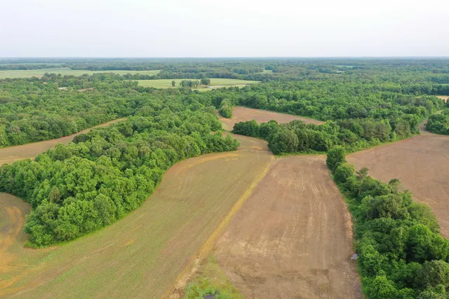 an aerial view of a house with a garden and lake view