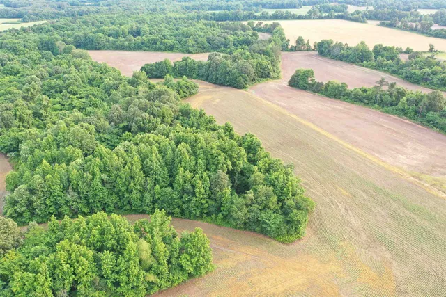 an aerial view of a residential houses with outdoor space and trees all around