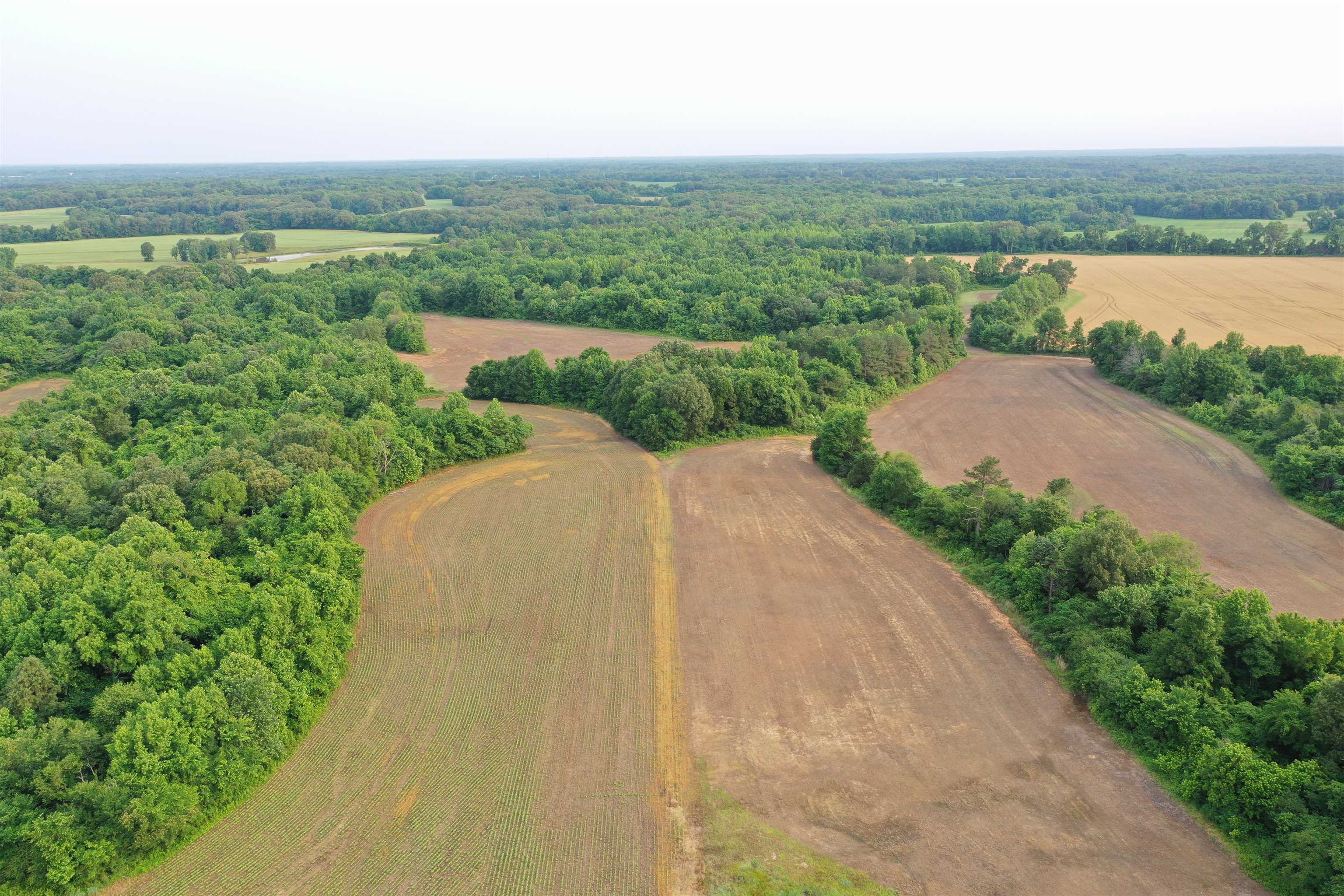 1858 Denmark Jackson Road Denmark, TN 38391 - Photo 27 of 35 an aerial view of a house with a garden and lake view