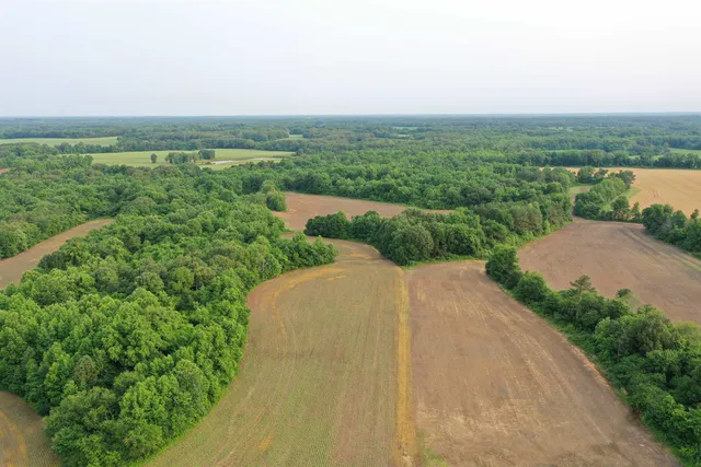 a view of a garden with a pathway