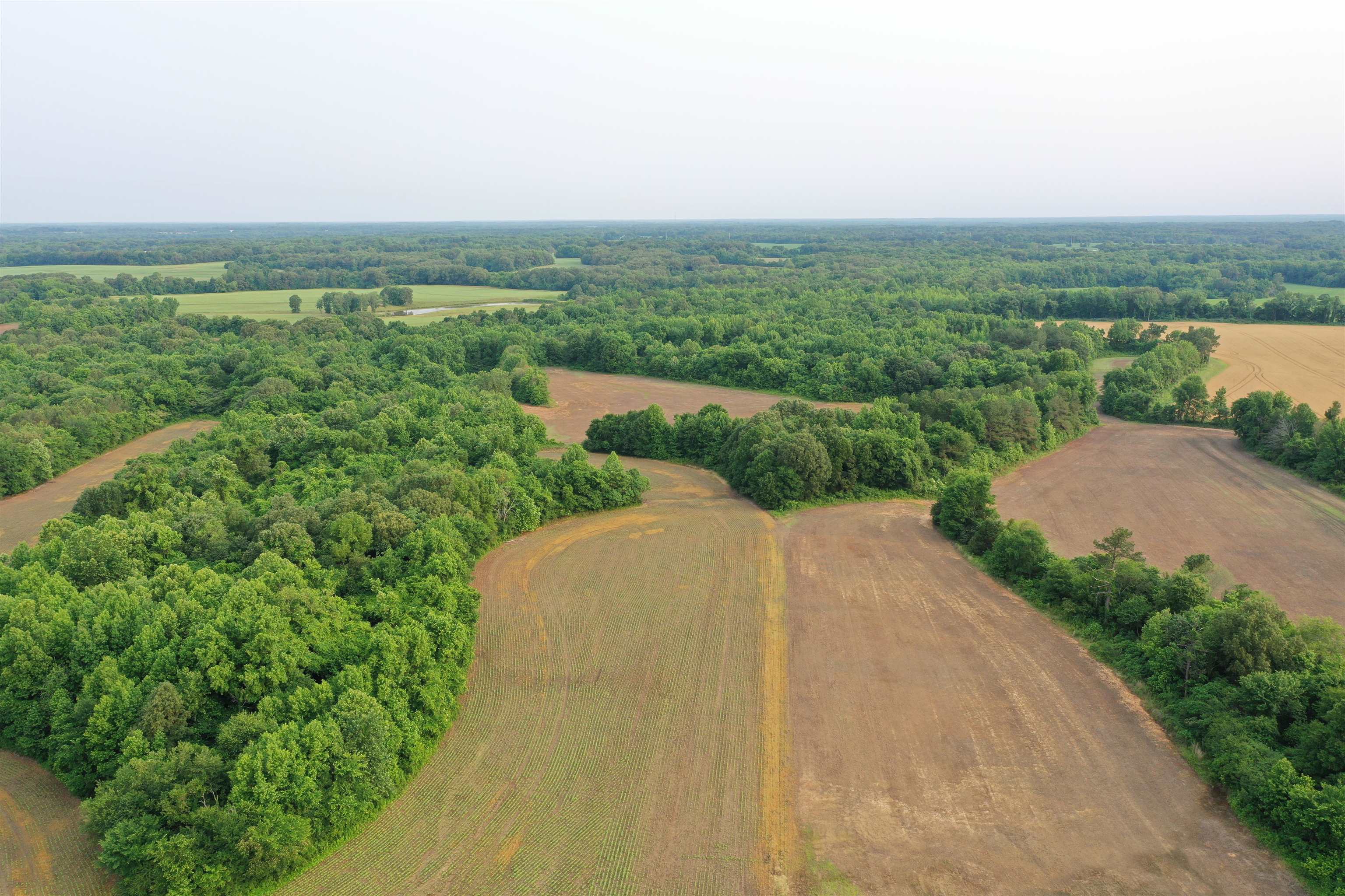 1858 Denmark Jackson Road Denmark, TN 38391 - Photo 29 of 35 a view of a city