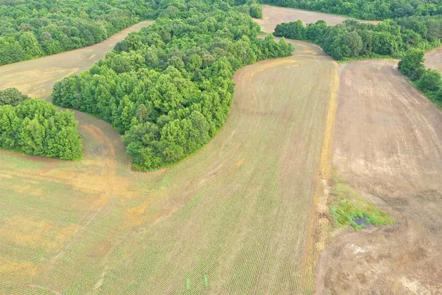 a view of a garden with a outdoor space