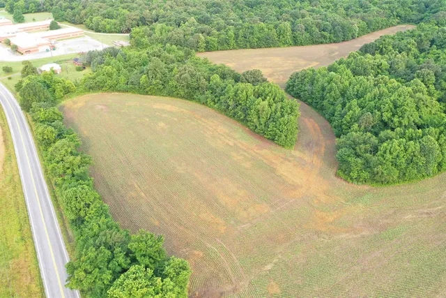 a view of a garden with a lake