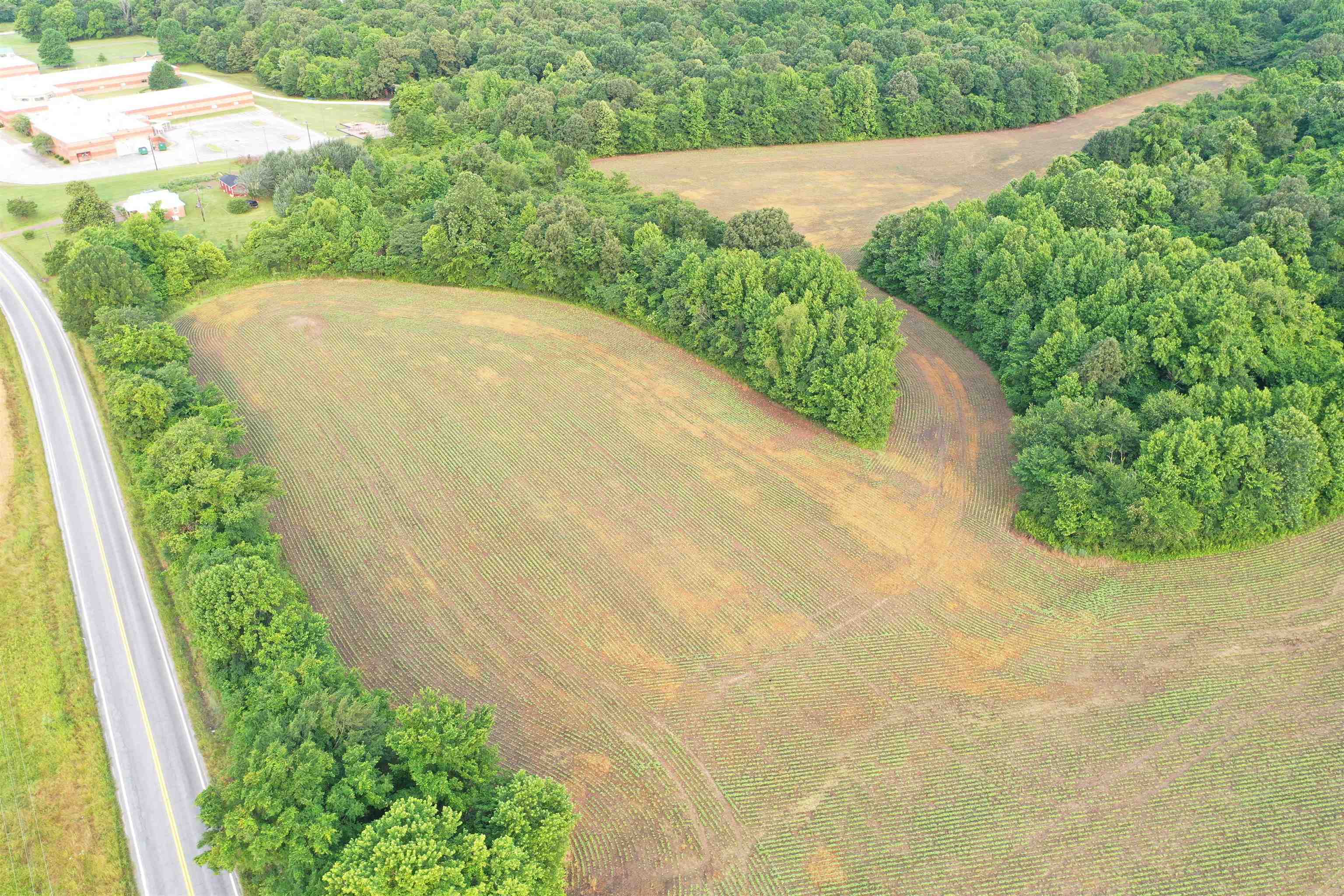 1858 Denmark Jackson Road Denmark, TN 38391 - Photo 31 of 35 a view of a garden with a pathway