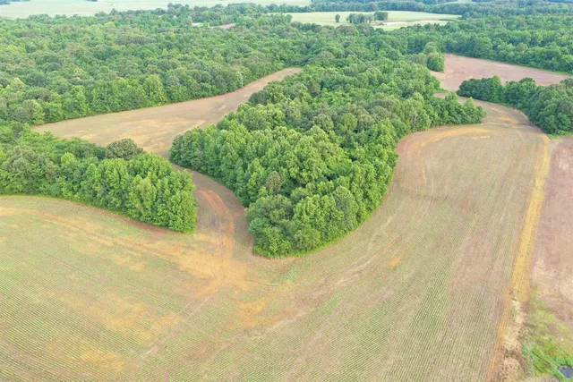 a view of a yard with an outdoor space