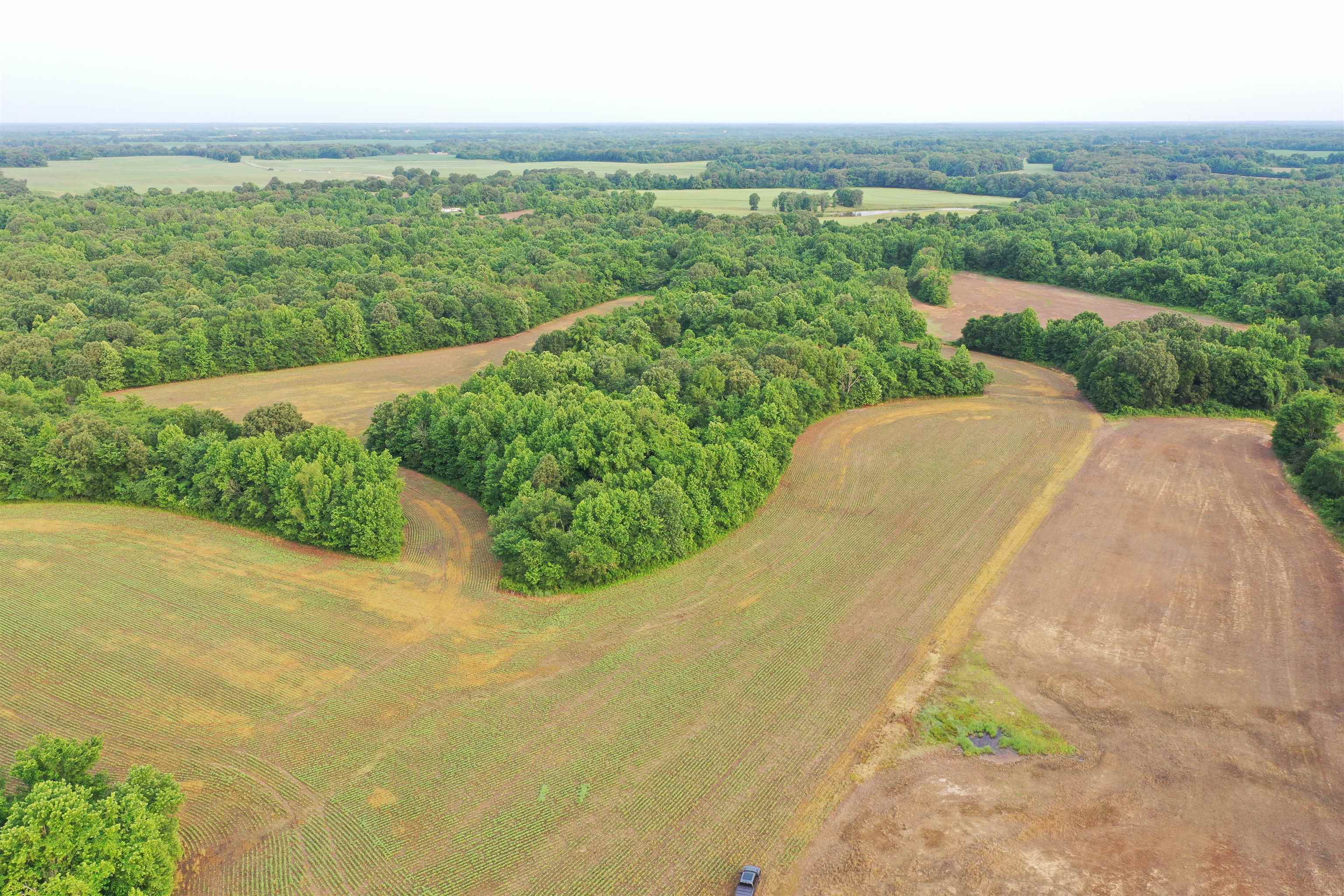 1858 Denmark Jackson Road Denmark, TN 38391 - Photo 34 of 35 a view of a yard with an outdoor space