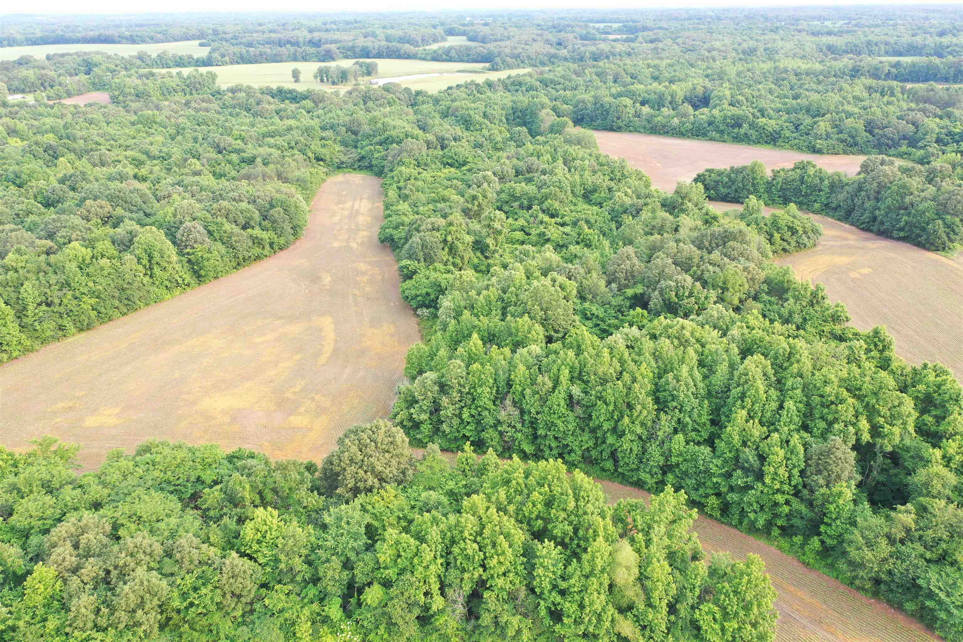 1858 Denmark Jackson Road Denmark, TN 38391 - Photo 6 of 35 a view of a lake with a yard