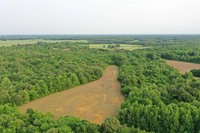 a view of a field with an ocean