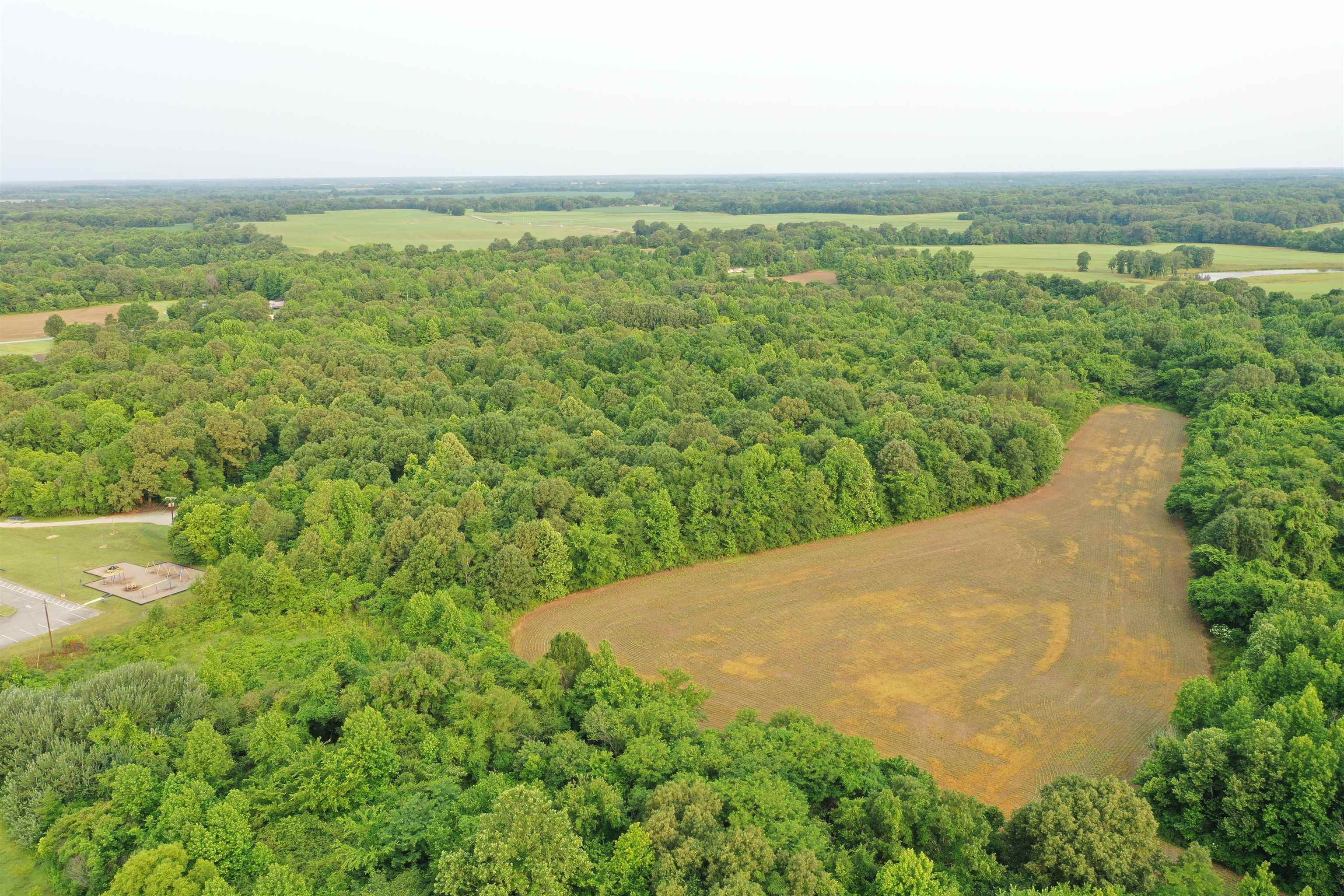 1858 Denmark Jackson Road Denmark, TN 38391 - Photo 10 of 35 a view of a field with an ocean
