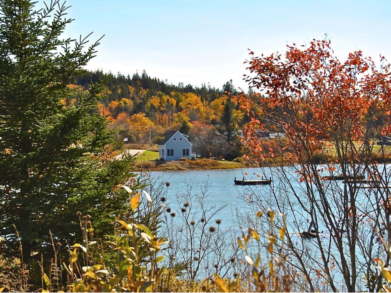 10 Finn Beach Road Machiasport, ME 04655 - Photo 31 of 39 31friskyfromacrossharbor
