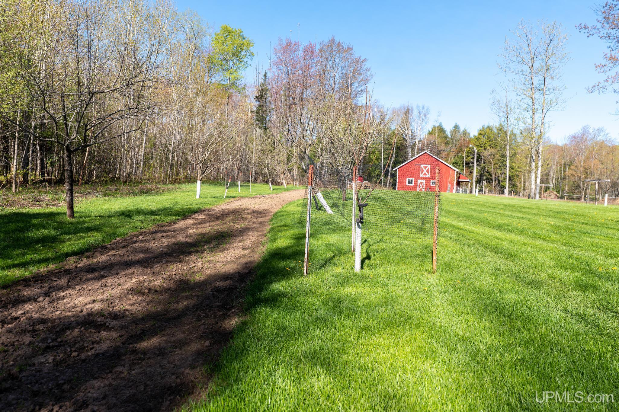 N12012 Lake Ellen Road Channing, MI 49815 - Photo 58 of 73