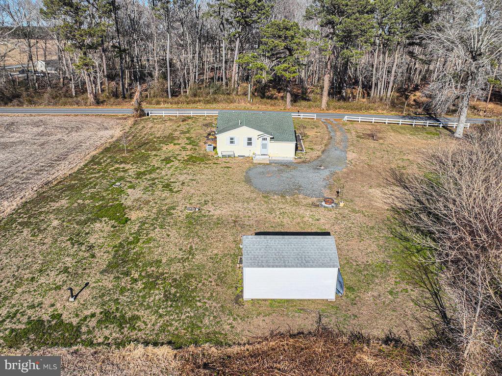 9530 Peerless Road Bishopville, MD 21813 - Photo 37 of 51 a view of yard with tree