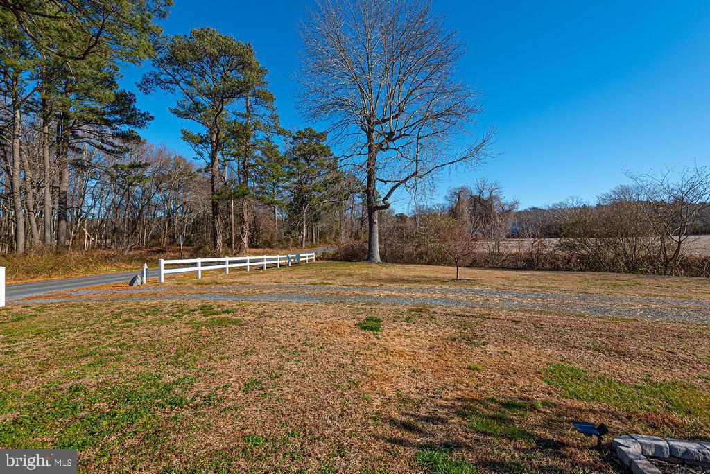 9530 Peerless Road Bishopville, MD 21813 - Photo 48 of 51 a view of yard with large trees