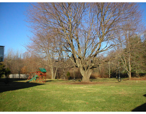 1037 Liberty Square Road Boxborough, MA 01719 - Photo 3 of 18 a backyard of a house with lots of green space