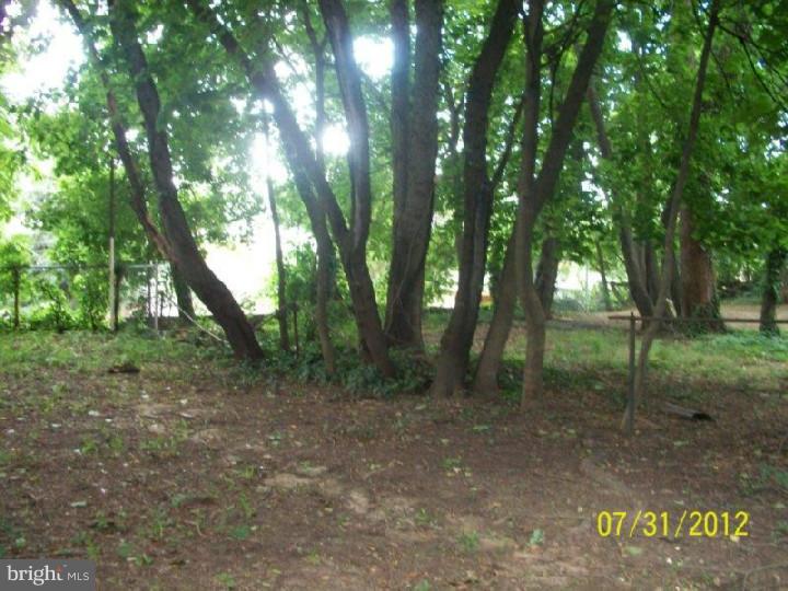567 Rutherford Avenue Trenton, NJ 08618 - Photo 20 of 20 Gallery Image 20