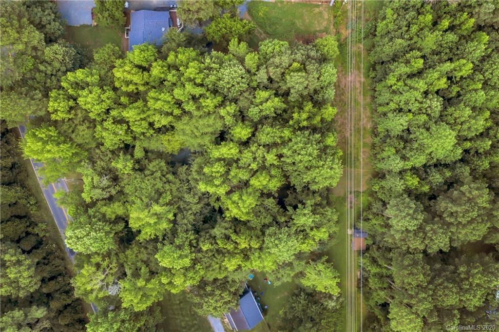 7109 New Town Road Waxhaw, NC 28173 - Photo 27 of 31 a view of a plant in a garden