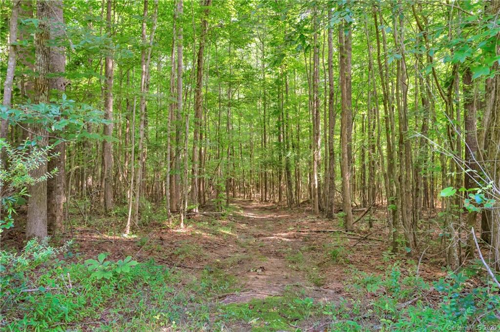7109 New Town Road Waxhaw, NC 28173 - Photo 29 of 31 a view of outdoor space with green field and trees
