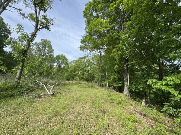 a big yard with lots of green space and trees all around
