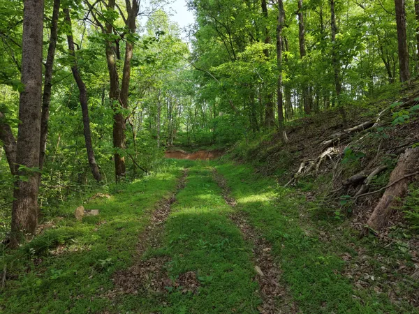a view of outdoor space and green space